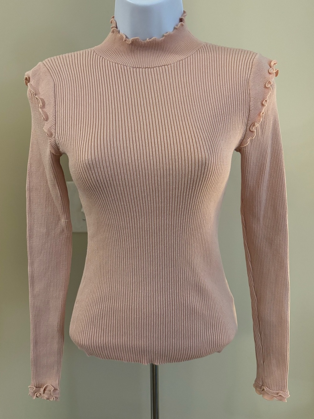 Long Sleeve Ribbed Mock Neck Top in Blush
